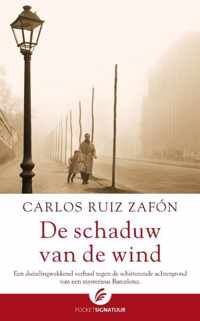 De schaduw van de wind