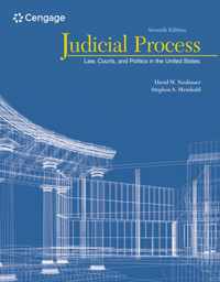 Judicial Process