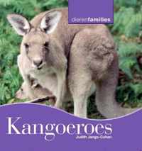 Dierenfamilies  -   Kangoeroes