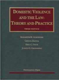 Domestic Violence and the Law