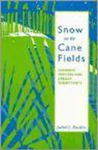 Snow on the Cane Fields