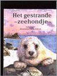 Het Gestrande Zeehondje