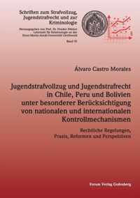 Jugendstrafvollzug und Jugendstrafrecht in Chile, Peru und Bolivien unter besonderer Berucksichtigung von nationalen und internationalen Kontrollmechanismen