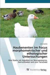 Haubenenten im Focus morphometrischer und ethologischer Untersuchungen