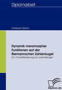 Dynamik meromorpher Funktionen auf der Riemannschen Zahlenkugel