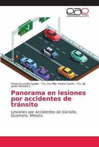 Panorama en lesiones por accidentes de transito
