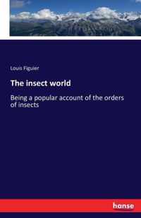 The insect world