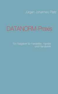 DATANORM-Praxis