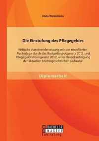 Die Einstufung des Pflegegeldes: Kritische Auseinandersetzung mit der novellierten Rechtslage durch das Budgetbegleitgesetz 2011 und Pflegegeldreformg