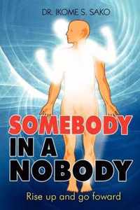 Somebody in a Nobody