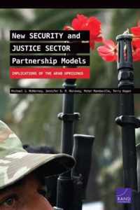 New Security and Justice Sector Partnership Models