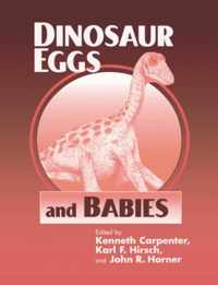 Dinosaur Eggs and Babies