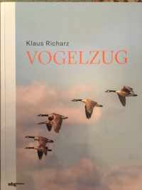 Vogelzug