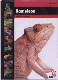 Over Dieren  -   Kameleon