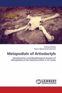 Metapodials of Artiodactyls