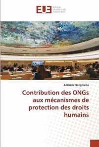 Contribution des ONGs aux mecanismes de protection des droits humains