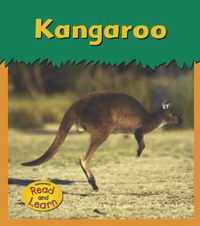 Kangaroo