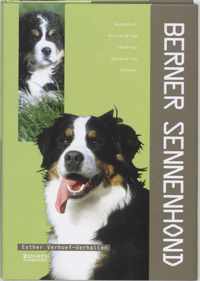 Berner Sennenhond