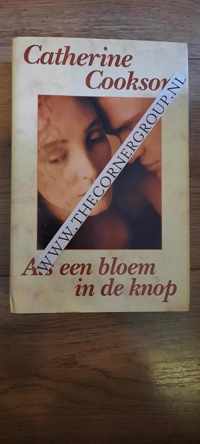 Als een bloem in de knop