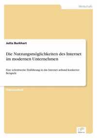 Die Nutzungsmoeglichkeiten des Internet im modernen Unternehmen