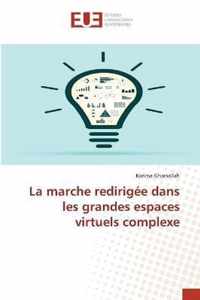 La marche redirigee dans les grandes espaces virtuels complexe