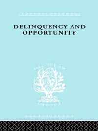 Delinquency and Opportunity