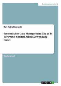 Systemisches Case Management