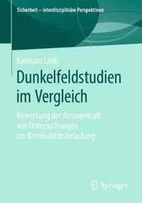 Dunkelfeldstudien Im Vergleich