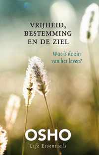 Vrijheid, bestemming en de ziel