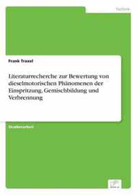 Literaturrecherche zur Bewertung von dieselmotorischen Phanomenen der Einspritzung, Gemischbildung und Verbrennung