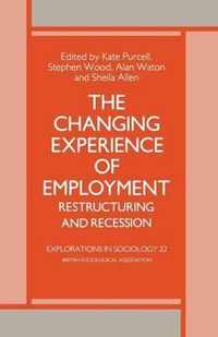 The Changing Experience of Employment