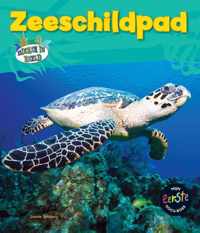 Dieren in beeld - Zeeschildpad