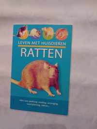 Leven met huisdieren: ratten