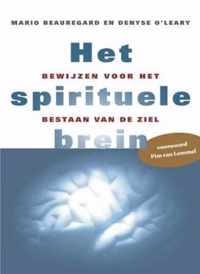 Het Spirituele Brein