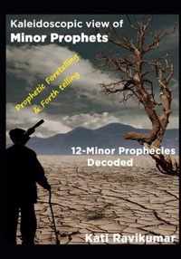 Kaleidoscopic View of Minor Prophets