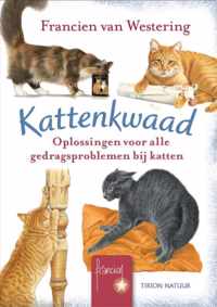 Kattenkwaad