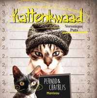 Kattenkwaad