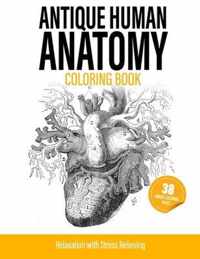 Antique Human Anatomy Coloring Book