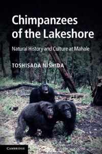 Chimpanzees Of The Lakeshore