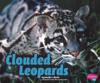 Clouded Leopards