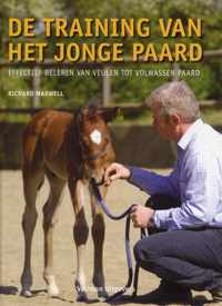 De training van het jonge paard