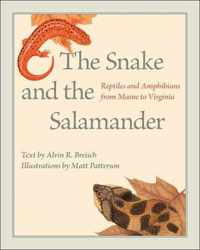 The Snake and the Salamander