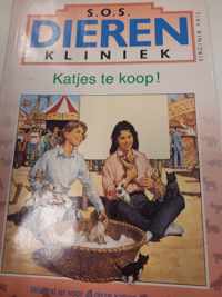 4 katjes te koop S.o.s. dierenkliniek