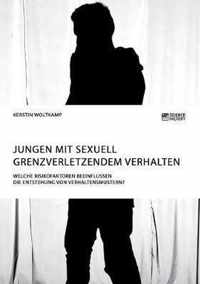 Jungen mit sexuell grenzverletzendem Verhalten. Welche Risikofaktoren beeinflussen die Entstehung von Verhaltensmustern?