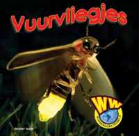 Wonderlijke wereld  -   Vuurvliegjes