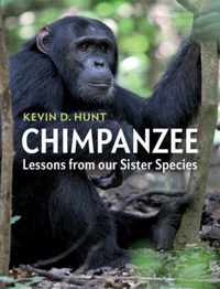 Chimpanzee