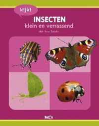 Kijk! Insecten Klein En Verrassend