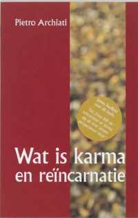 Wat Is Karma En Reincarnatie