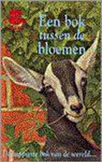 Een bok tussen de bloemen