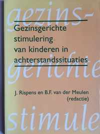 Gezinsgerichte stimulering van kinderen in achterstandssituaties